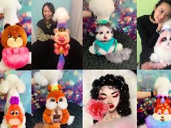 宠物3D立体创意染色造型