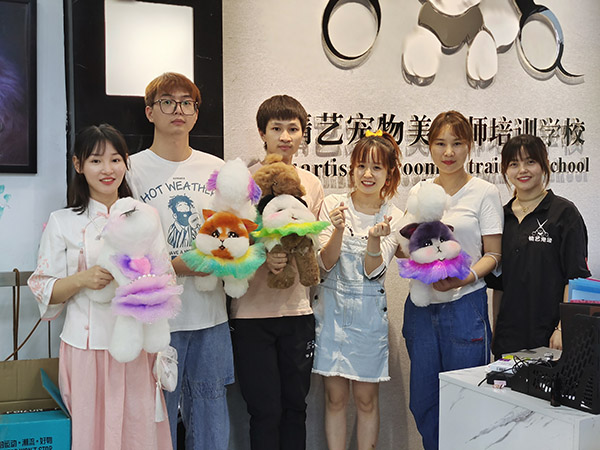 宠物美容培训：国庆七天乐，学中做乐，乐此不
